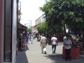 Supervisar universidades patito