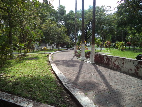 Manita de gato a la Alameda de Tepic