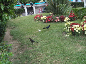 Negociaron franquicia del PT 