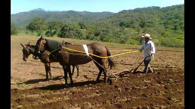 A cerrar filas por Nayarit