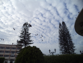 Desigualdad: realidad infamante.