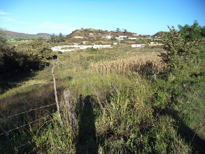 Monsanto, debe salir de Nayarit