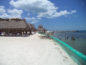 COP 21 y el imperio de los intereses petroleros