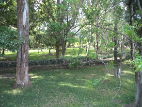 Polo destruye el &aacute;rea verde de la colonia 15 de Mayo