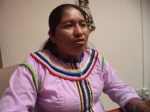 Llor&eacute;, no quer&iacute;a ser diputada