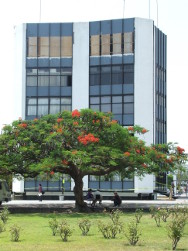 Debe rector de UAN representar a universitarios y pueblo