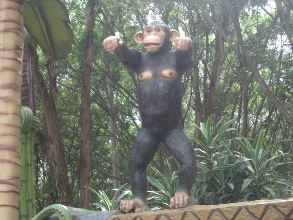 Muchos en condiciones parecidas