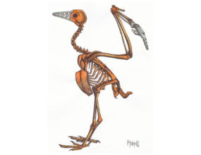 La gallina palpita, aunque reducida a una osamenta sin plumas