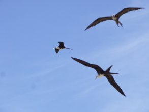 El costo social de la deuda p&uacute;blica de M&eacute;xico