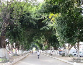 Bien o mal pero que no los olviden