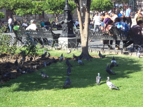 Jubilados y pensionados no es lo mismo