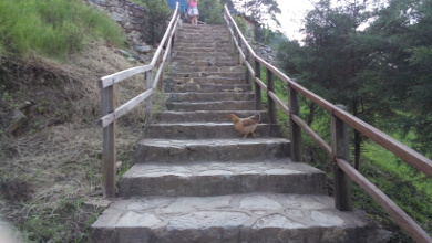 Siguen endeudando a M&eacute;xico los tecn&oacute;cratas ineficaces 