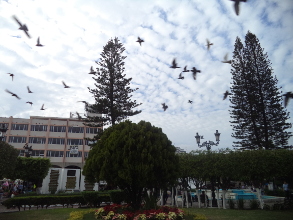 El PRD devorado por sus demonios internos