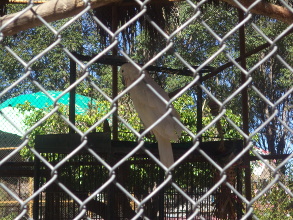 Tratos inhumanos al por mayor