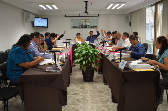 Reconteo de votos porque el 20% de casillas registr&oacute; inconsistencias