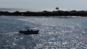 Gobierno mexicano contra objetivos del desarrollo sostenible