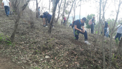 Ayuntamiento de Tepic contin&uacute;a con programa de reforestaci&oacute;n