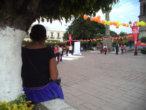 Fracasa PT en proceso electoral de Nayarit