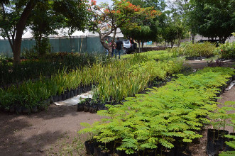 &ldquo;La mota ataca de nuevo"