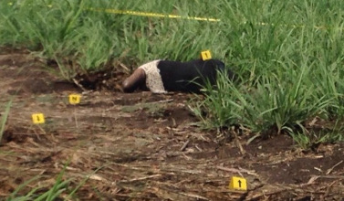 Signos de ingobernabilidad