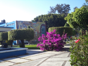 &iquest;D&oacute;nde est&aacute;n los j&oacute;venes desaparecidos?