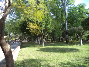 Areas verdes en peligro