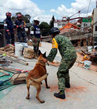 Soldados y marinos merecen nuestro reconocimiento