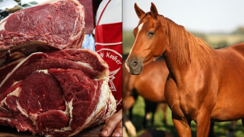 Especial para el consumo humano