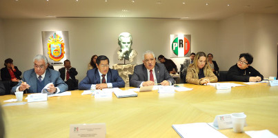 En febrero pr&oacute;ximo PRI tendr&aacute; candidato a presidente de la rep&uacute;blica