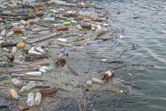 Por la lucha ambiental 