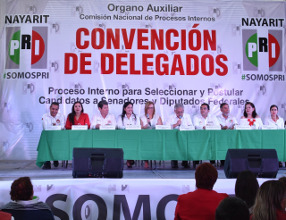 Se sali&oacute; con la suya: Hilaria va por el primer distrito; Peque Vallarta en suspenso