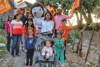 Alica&iacute;da competencia electoral