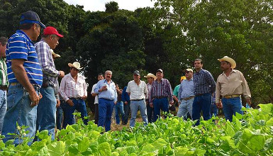 Contin&uacute;a el viacrucis de los frijoleros