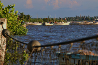 Pide Congreso impulsar acuacultura y pesca en los 20 municipios