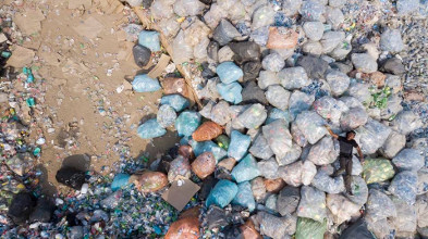 Iris Chantal Carrillo L&oacute;pez gan&oacute; concurso de fotograf&iacute;a sobre medio ambiente