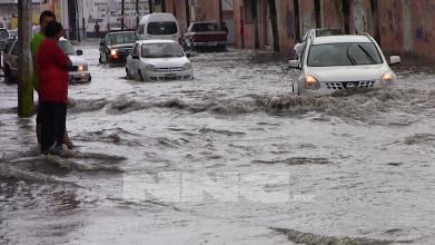 Nulas pol&iacute;ticas de Protecci&oacute;n Civil