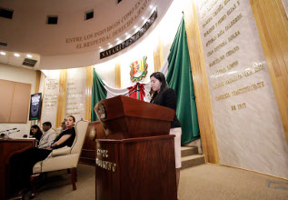 Podr&iacute;a un migrante ir a la C&aacute;mara de Diputados local