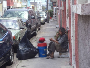 Loquitos al por mayor en Tepic