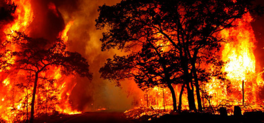 Diez mil pesos para la mejor fotograf&iacute;a sobre incendio forestal