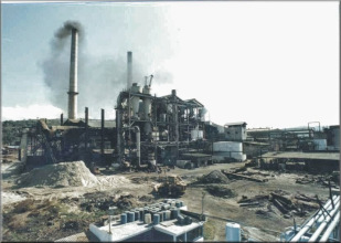Propugnan por sacar del atraso industrial a Nayarit