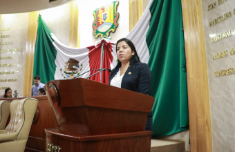 Renovar&aacute; Congreso funciones del ICATEN