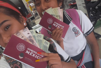 Las ayudas directas gubernamentales