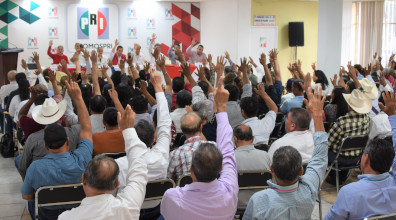 Por democracia directa ser&aacute;n electos 212 integrante del Consejo Pol&iacute;tico Estatal del PRI