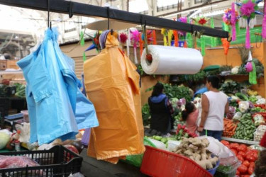 La probable invencibilidad del contaminante pl&aacute;stico