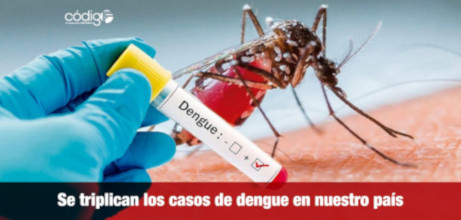 La aplicaci&oacute;n del biomagnetismo m&eacute;dico evitar&aacute; mortandad
