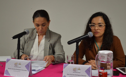 Acata Consejo Local Electoral del IEEN  resoluciones del Tribunal Estatal Electoral 