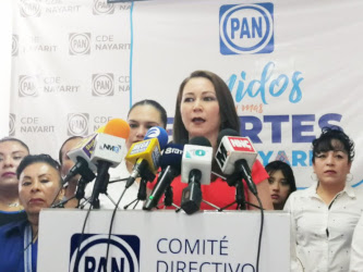 Senadores  panistas preocupados por reactivar econom&iacute;a del pa&iacute;s