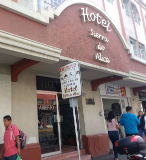 Los hoteles y otros negocios no est&aacute;n del todo solos
