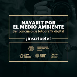 Convoca Congreso a tercer concurso de fotograf&iacute;a digital