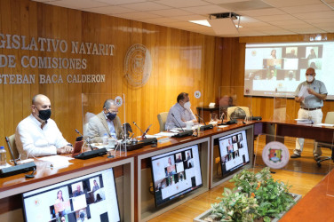 Aprueba diputaci&oacute;n permanente periodo extraordinario de sesiones